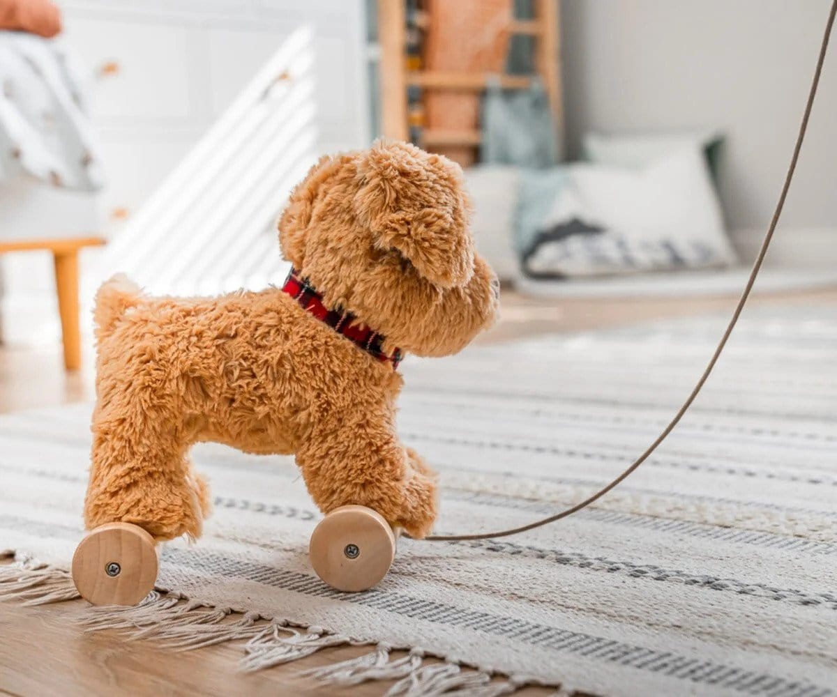 Little Bird Told Me push along toys Little Bird Told Me Dexter Dog Pull Along LB3082