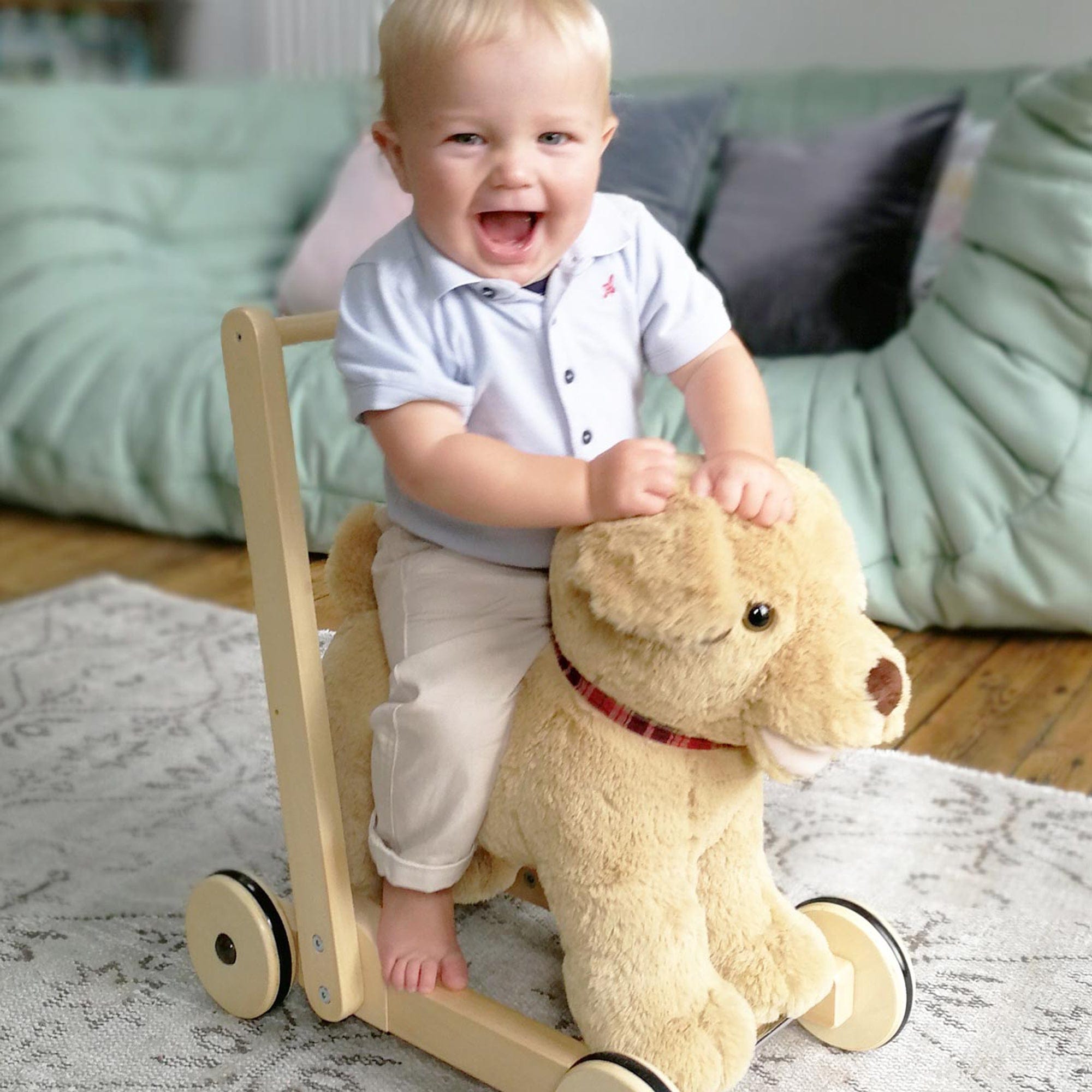 Little Bird Told Me push along toys Little Bird Told Me Dexter Dog Push Along 12m+ LB3052