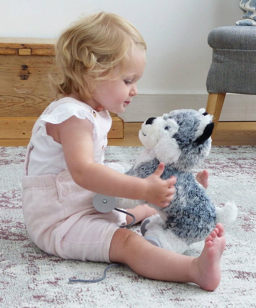 Little Bird Told Me push along toys Little Bird Told Me Mishka Dog Pull Along LB3101