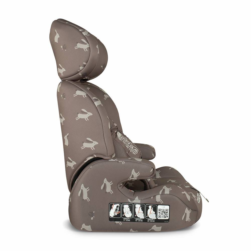 Cosatto combination car seats Cosatto Zoomi Car Seat Lollop CT6007