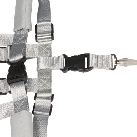 Dooky baby safety Dooky Safety Harness Set - Black DOOKY5628302