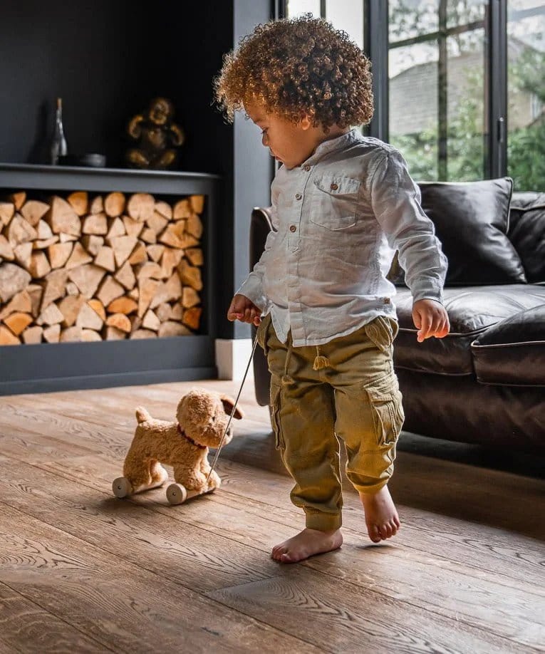 Little Bird Told Me push along toys Little Bird Told Me Dexter Dog Pull Along LB3082