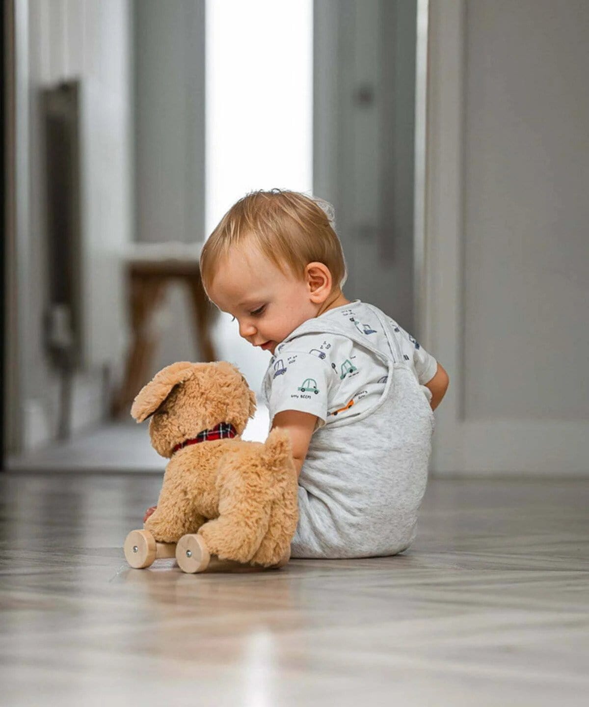 Little Bird Told Me push along toys Little Bird Told Me Dexter Dog Pull Along LB3082