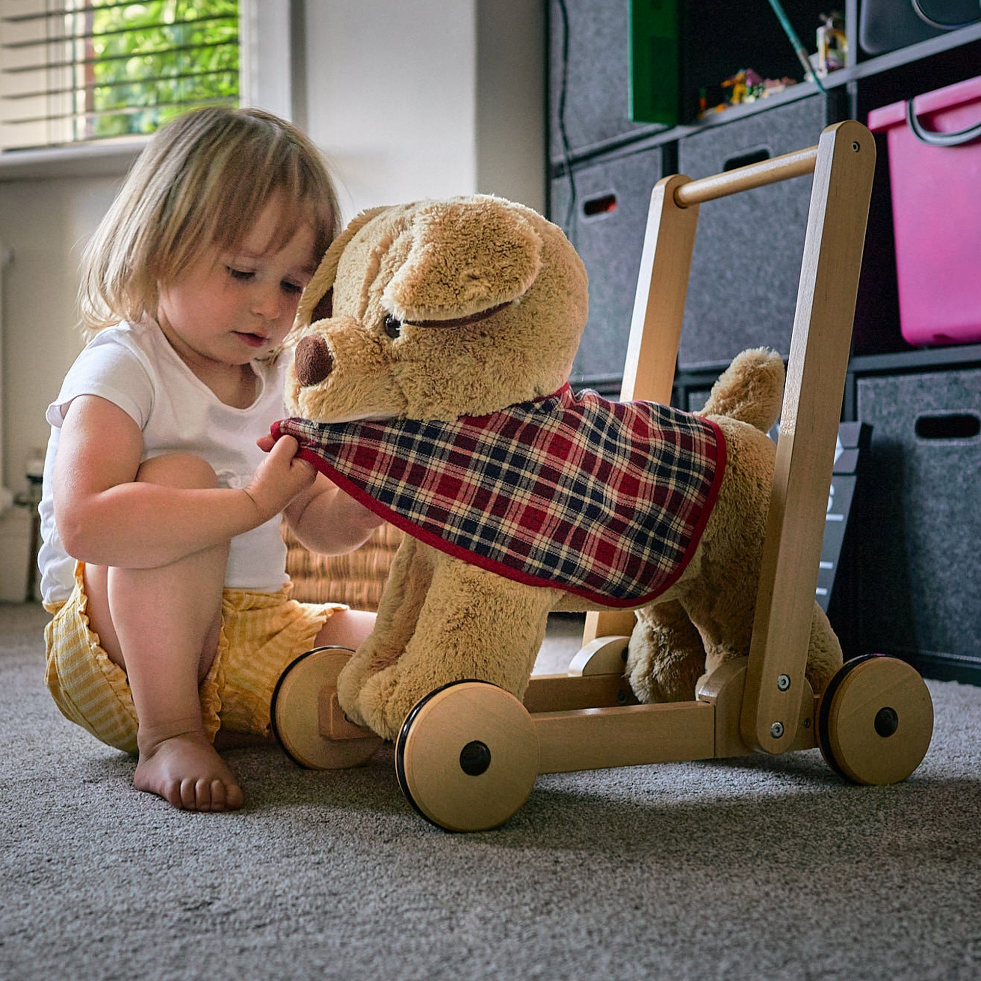 Little Bird Told Me push along toys Little Bird Told Me Dexter Dog Push Along 12m+ LB3052