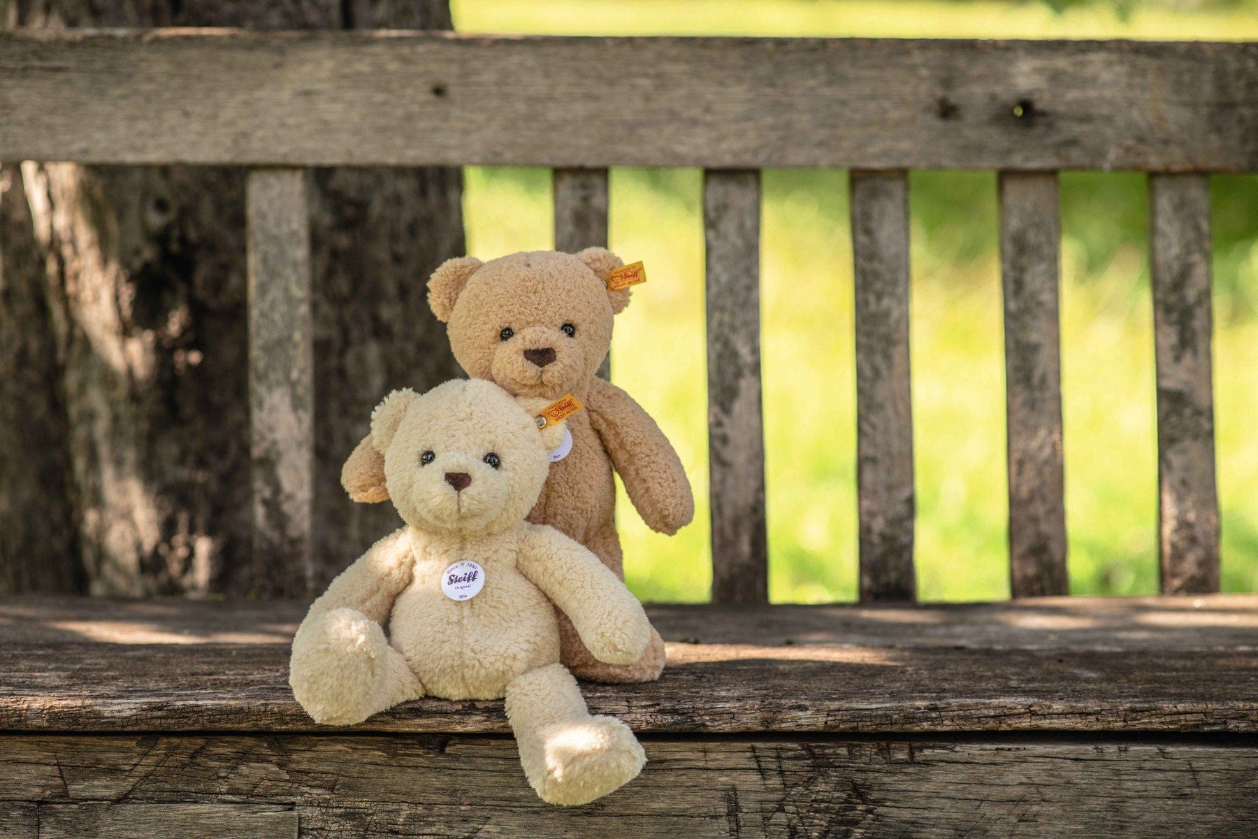 Steiff teddy bears Steiff Mila Bear 30cm in Vanilla 113970